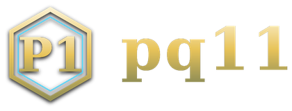pq11 logo